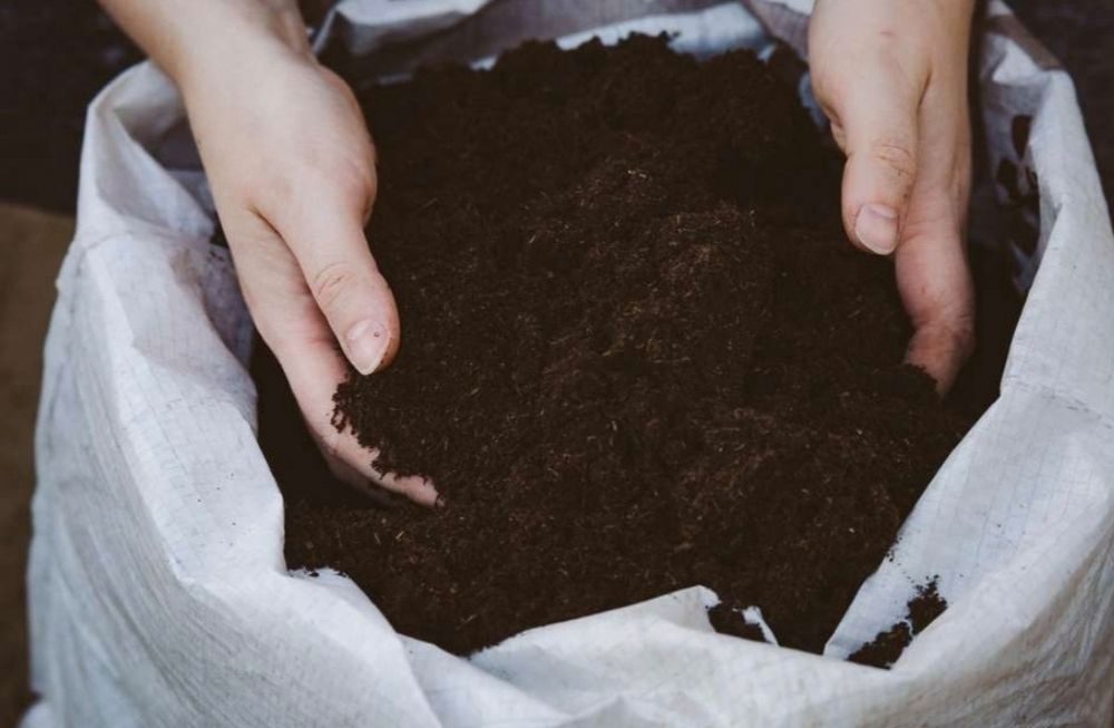 Биогумус сатылады виши сорт