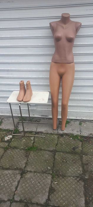 Женски манекен и мъжки торс