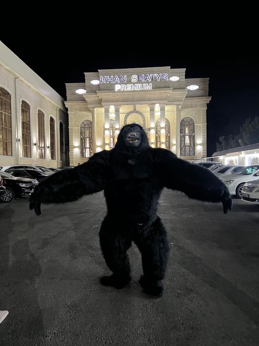 Аниматоры 2 персанаж