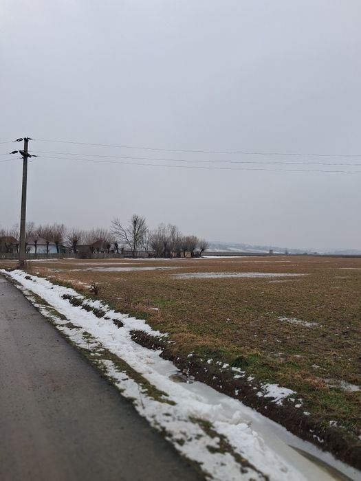 Vand loc de casă in Zvoristea 36 ari