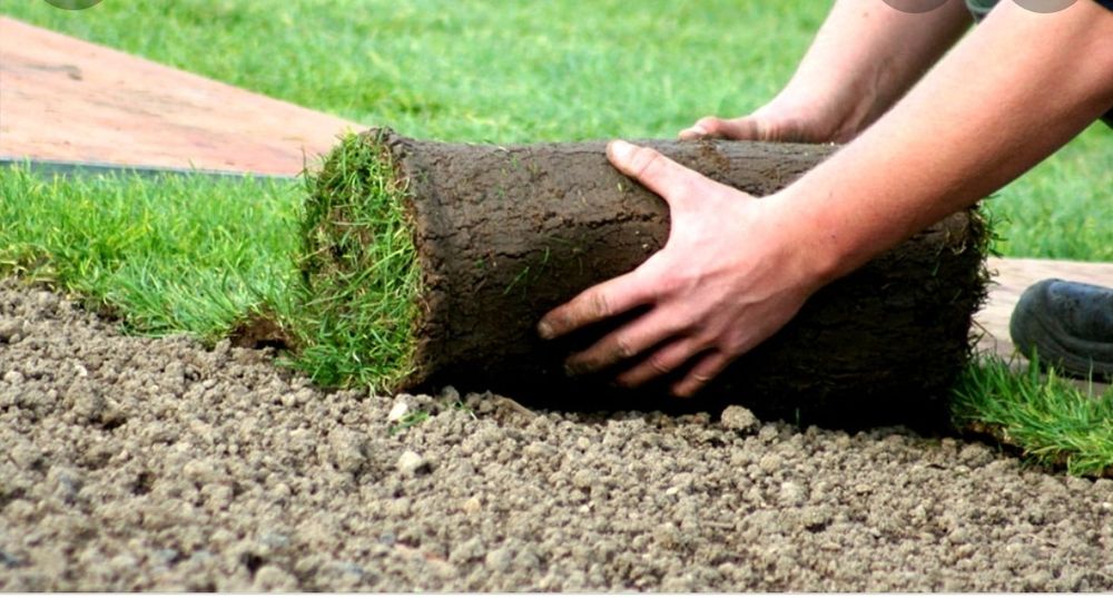 Gazon sepish Посев газона