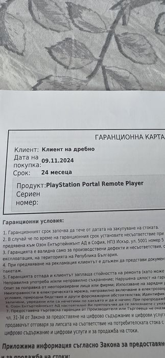 Playstation Portal Remote Player