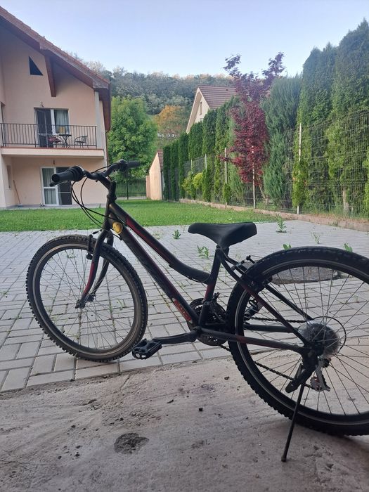 Bicicletă Mountain Bike