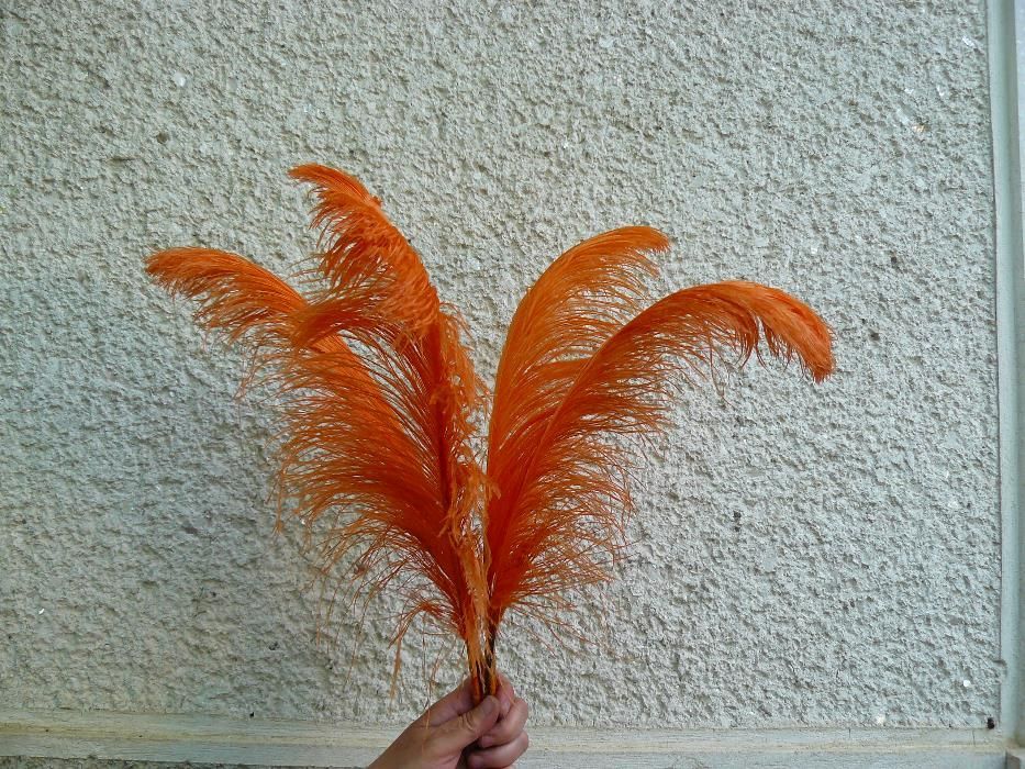 Vand Pene de strut.