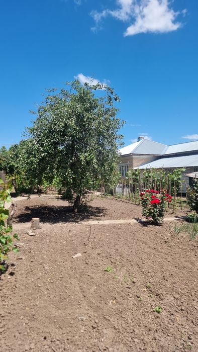 Casa de vanzare Chirnogi - (Oltenita)