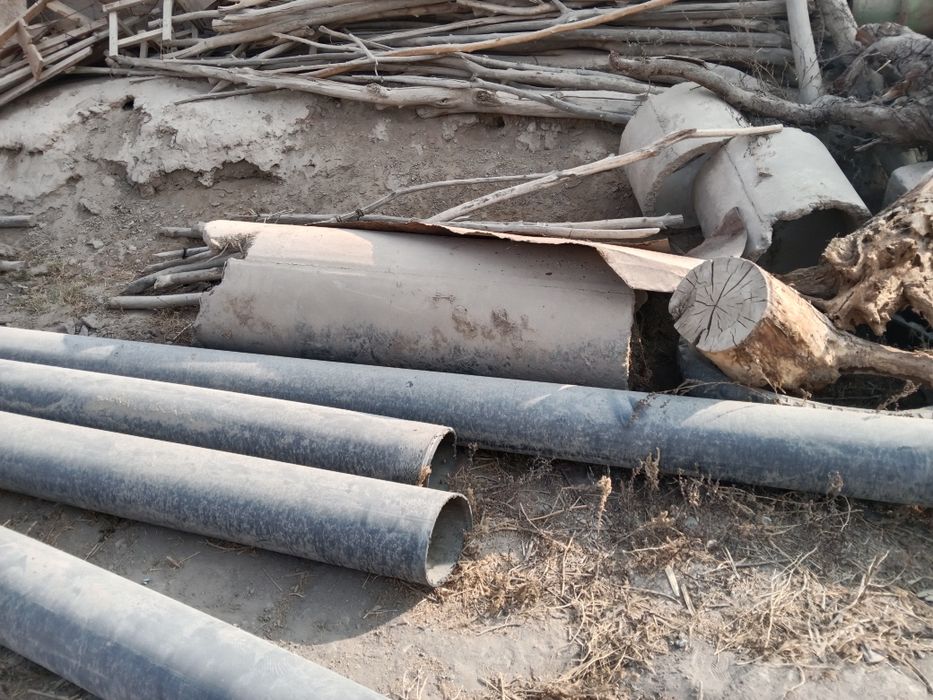 Begovot sobgʻoʻz da bu