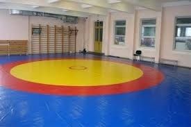 Борцовский ковер, татами, мат.