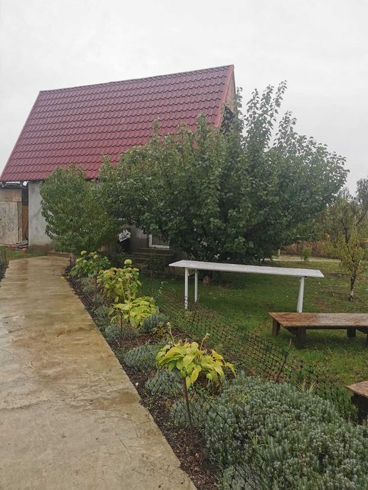 Vând casă în Aroneanu