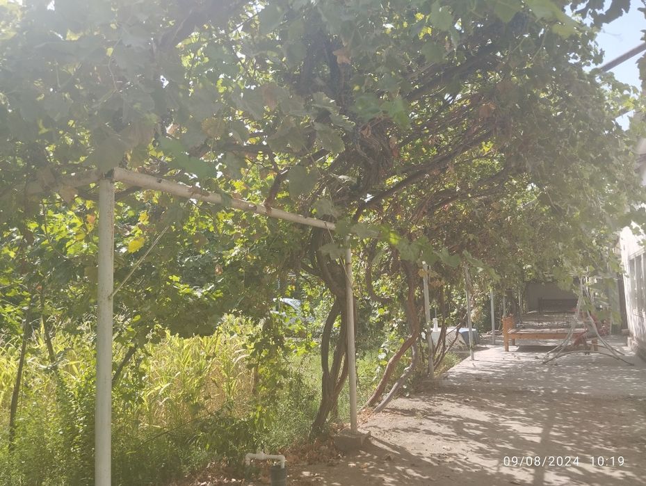 Tayyor uy kelishilgan holda sotiladi