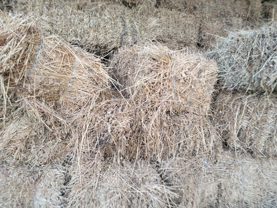 Vând baloți paiesi fân