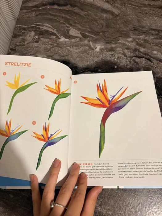 Детски книжки на немски език