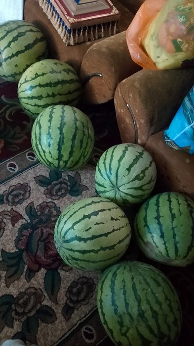 Қарбыз бар тәтті