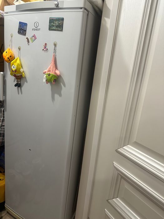 Морозильник indesit