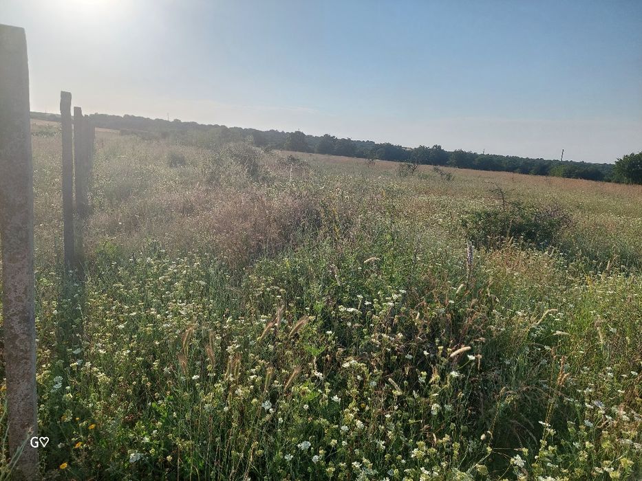Парцел 10 декара с. Новаково