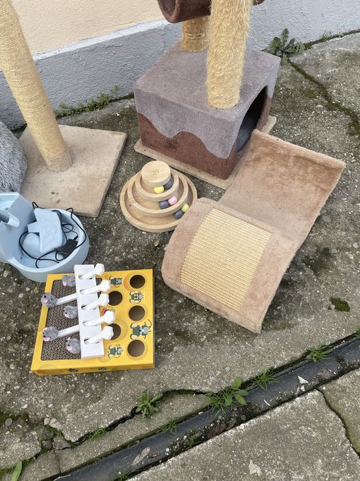 Accesorii pentru pisici