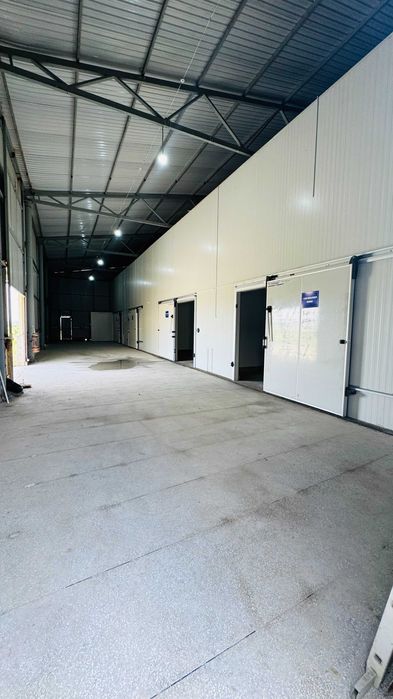 Muzlatgich va keng dala maydoni ijaraga beriladi