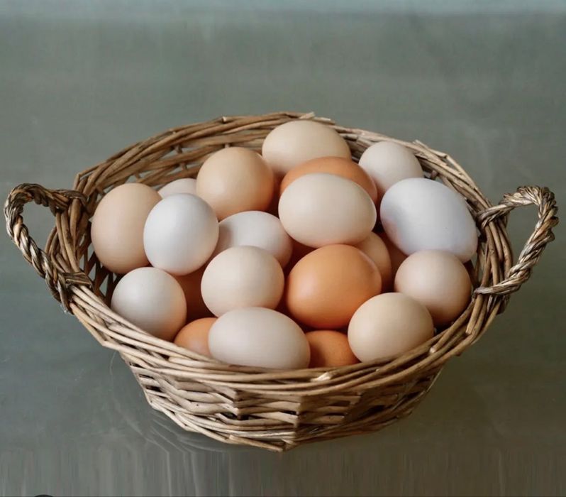 Яйца домашние для инкубатора