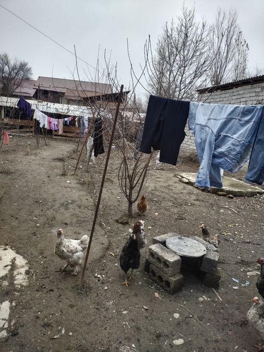 Bardamkol Qaytmas 6 sotix 6 xona uy sotiladi