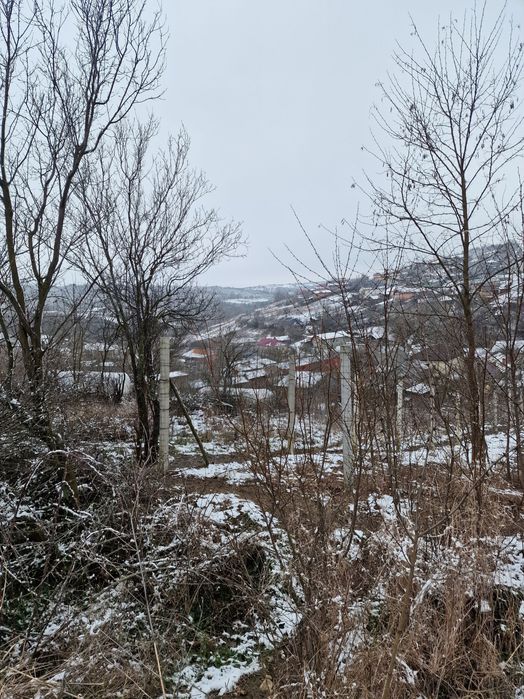 Teren Comuna  Bucovăț