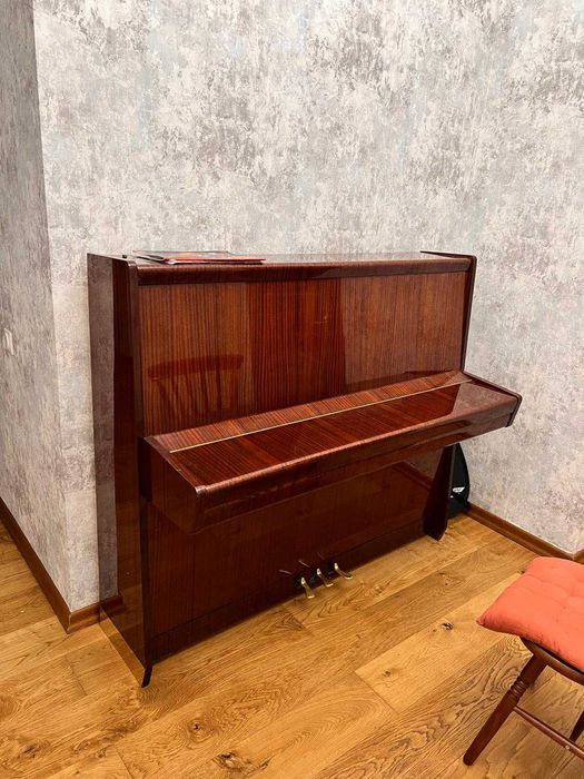 Акустическое пианио Petrov.