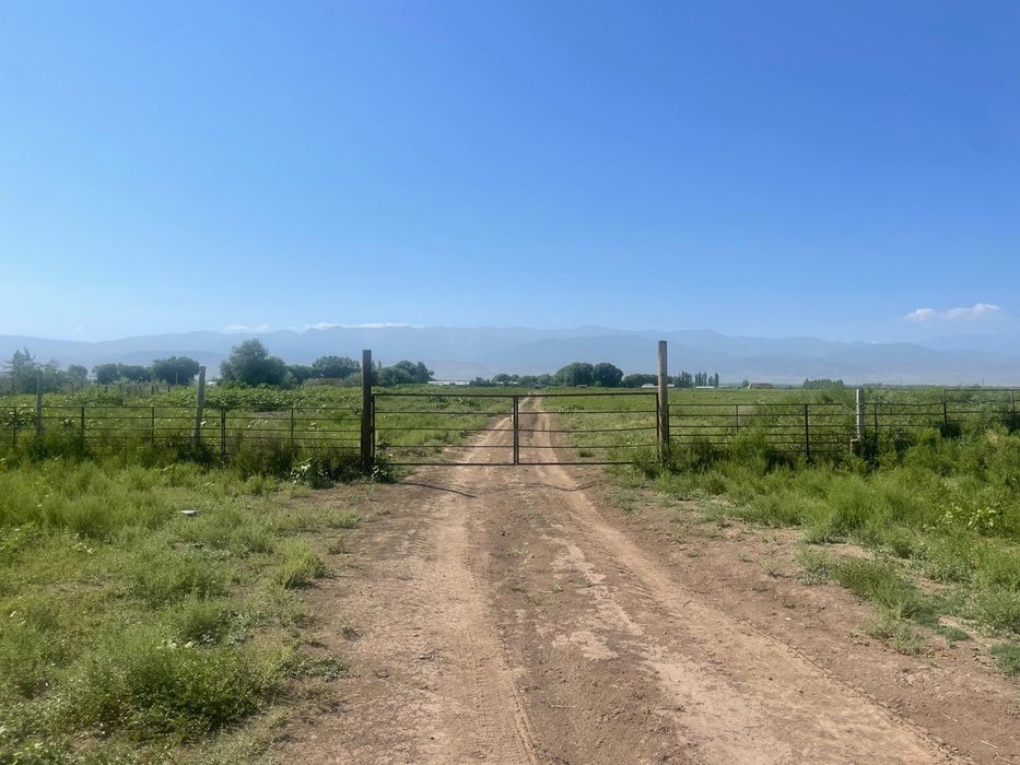 Продается Крестьянское хозяйство