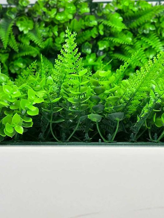 Самшитовый коврик для фитостены 60×40 см