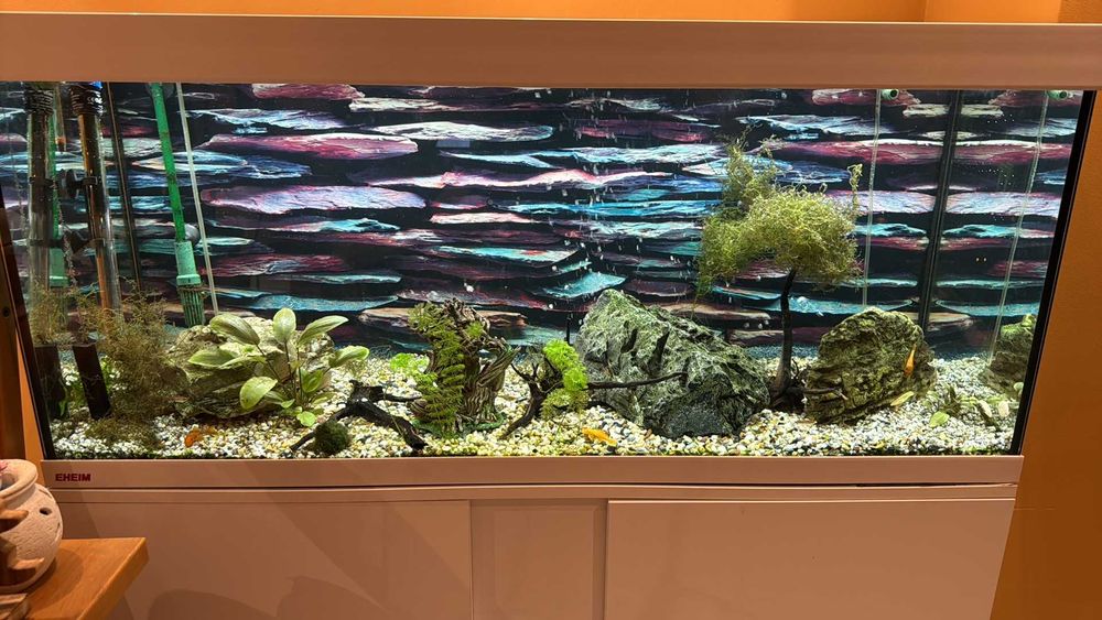 Аквариум с поставка EHEIM Vivaline LED 240 - бял