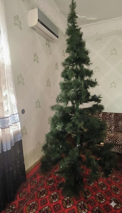 Большая и маленькая ёлка