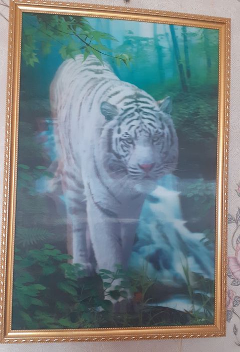 Красивая картина