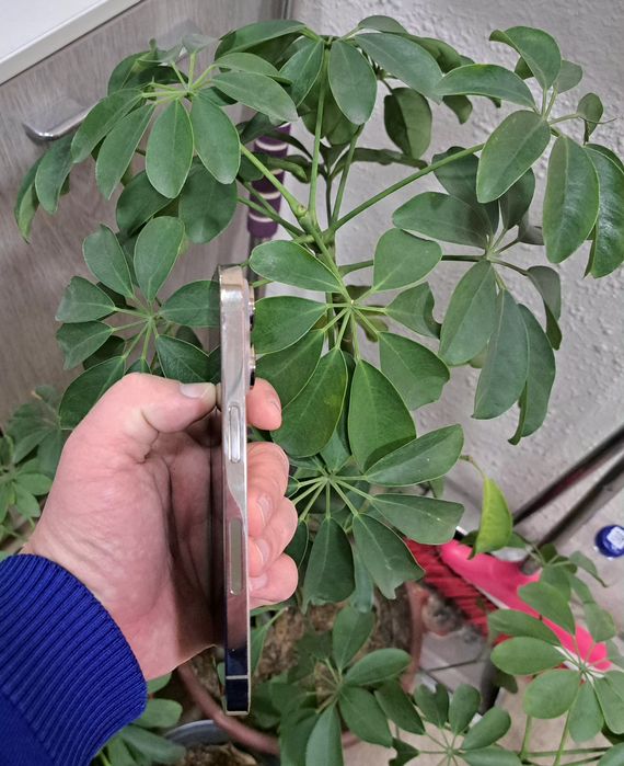 Iphone 14pro xotirasi 256GB/79%