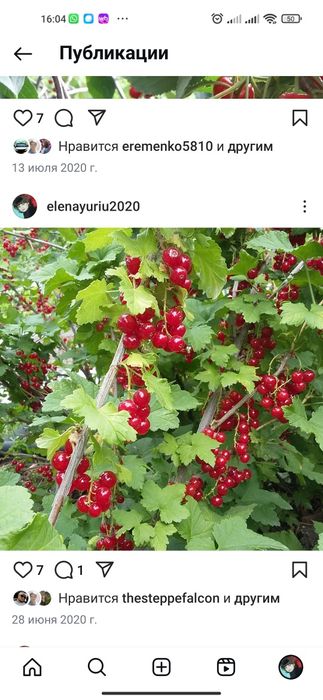 Продам дачу, район 2ая дачная, направо