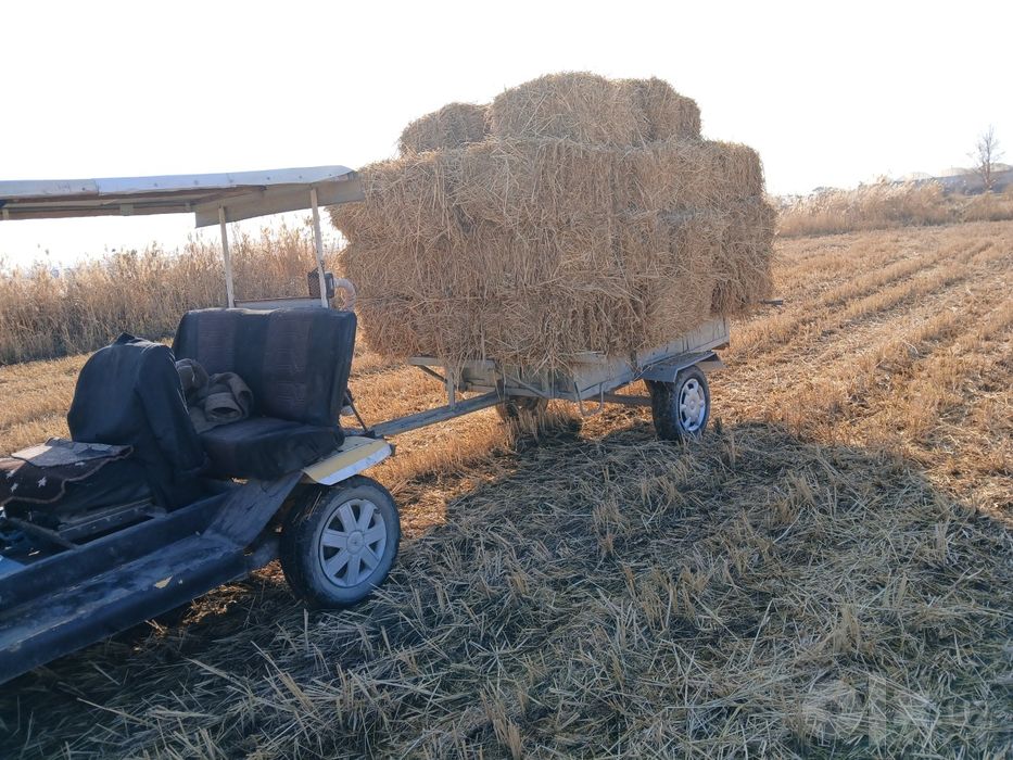 Traktor  trkamav