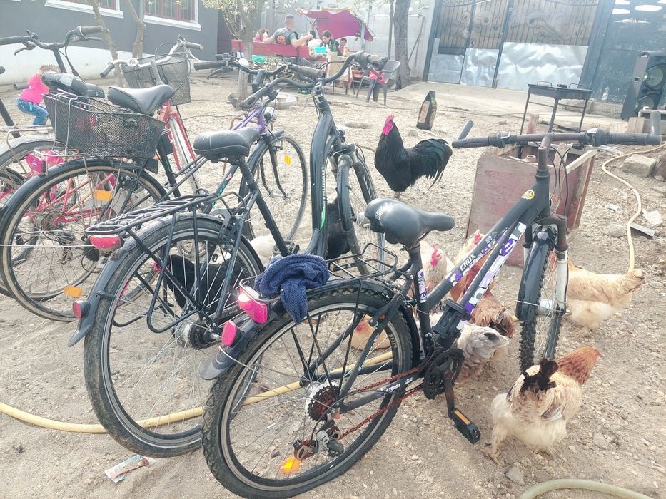 Biciclete de vanzare