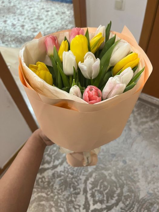 13 тюльпанов свежие