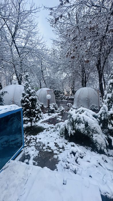 Tayyor kapsulalar sotiladi.