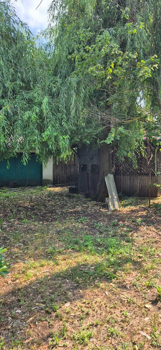 Vand casa si teren 4500 mp
