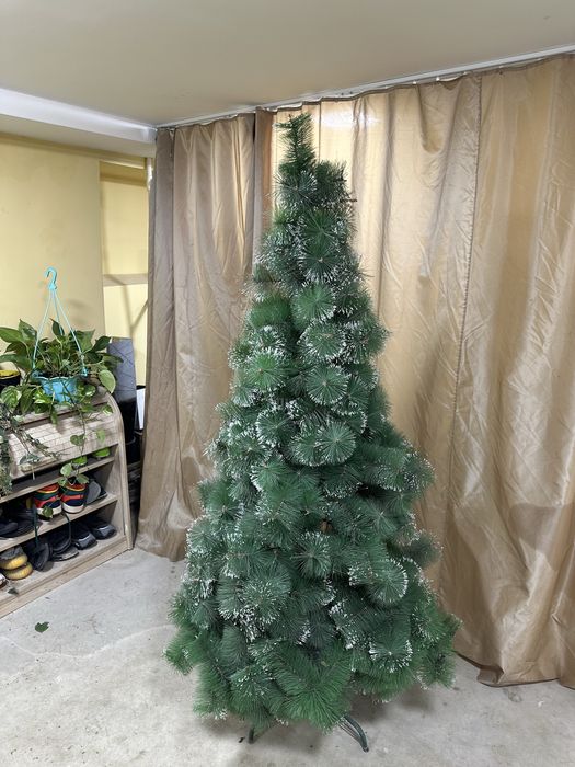 Елка в рост примерно 1,5 м