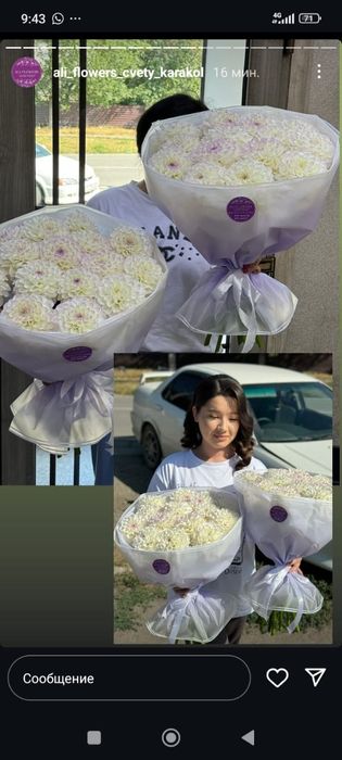 Клубни цветов гергины