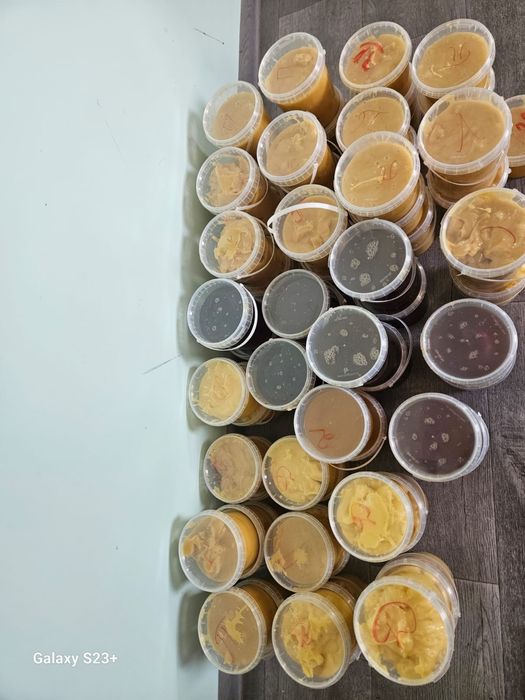 Алтайский натуральный мед