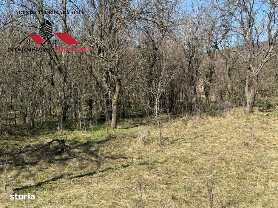 Casa si anexe cu un teren de 7701 mp de vanzare in Stauini  Jud Alba