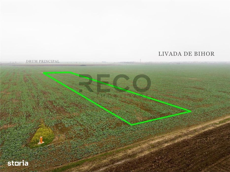 RECO Teren extravilan 5800 mp Livada de Bihor