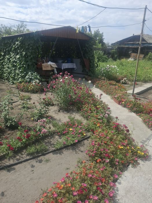 Продам дом каз край