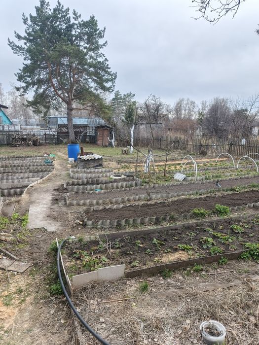Продам дачу. Общество  " Горизонт"