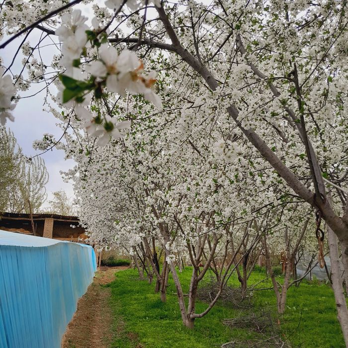 Uy joy sotiladi va kelishiladi