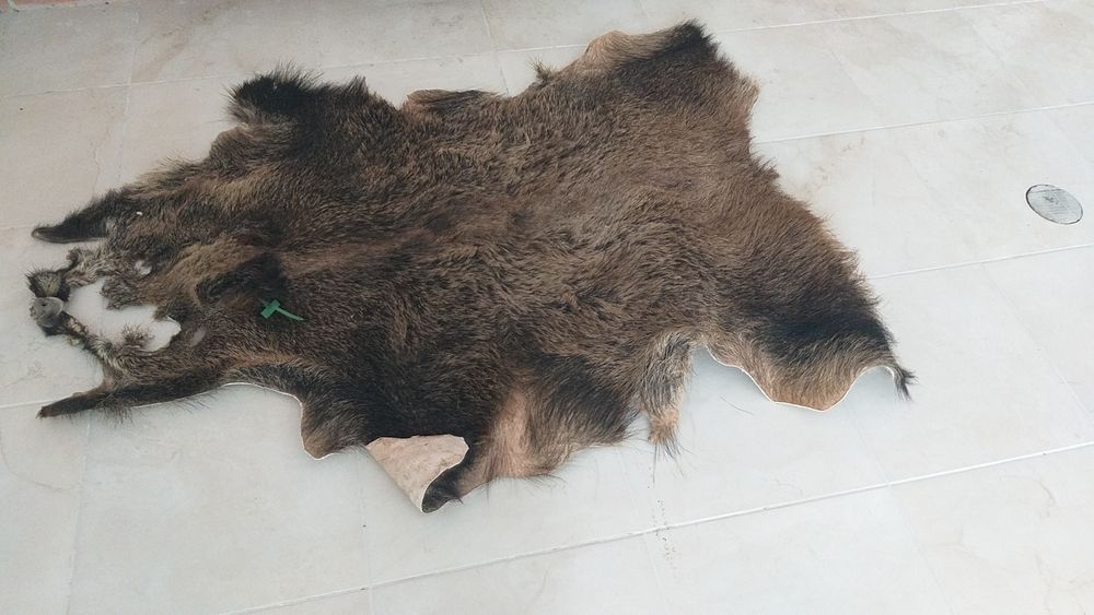 Piei de mistret două bucăți de anul trecut