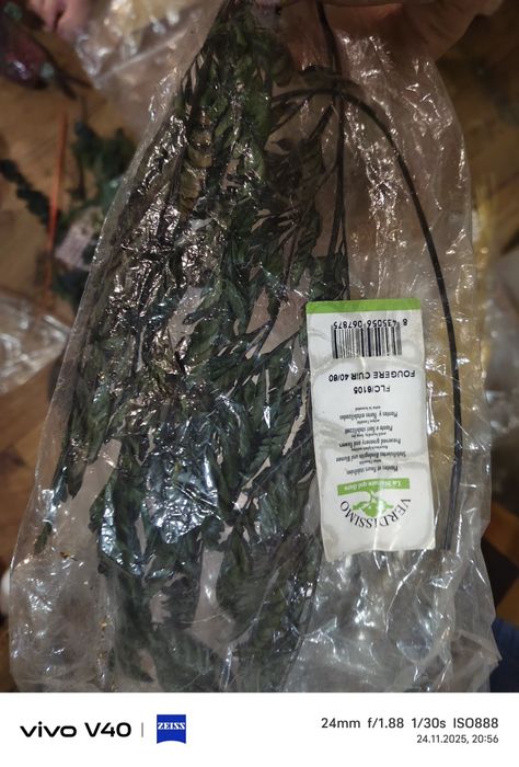 Стабилизированные растения для поделок