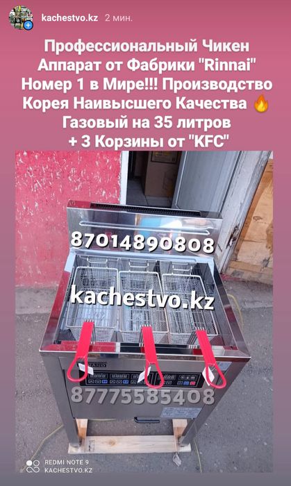 Новый Чикен Аппарат Grand от Фабрики Rinnai Риннай в Упаковке Гранд