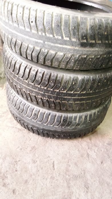 Продам три болона