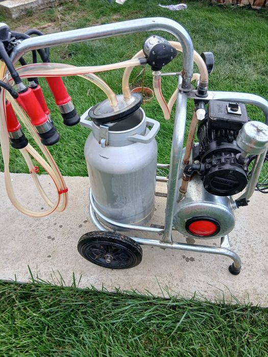 Aparat muls disponibil