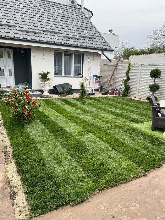Gazon rulou premium sistem irigații plante ornamentale